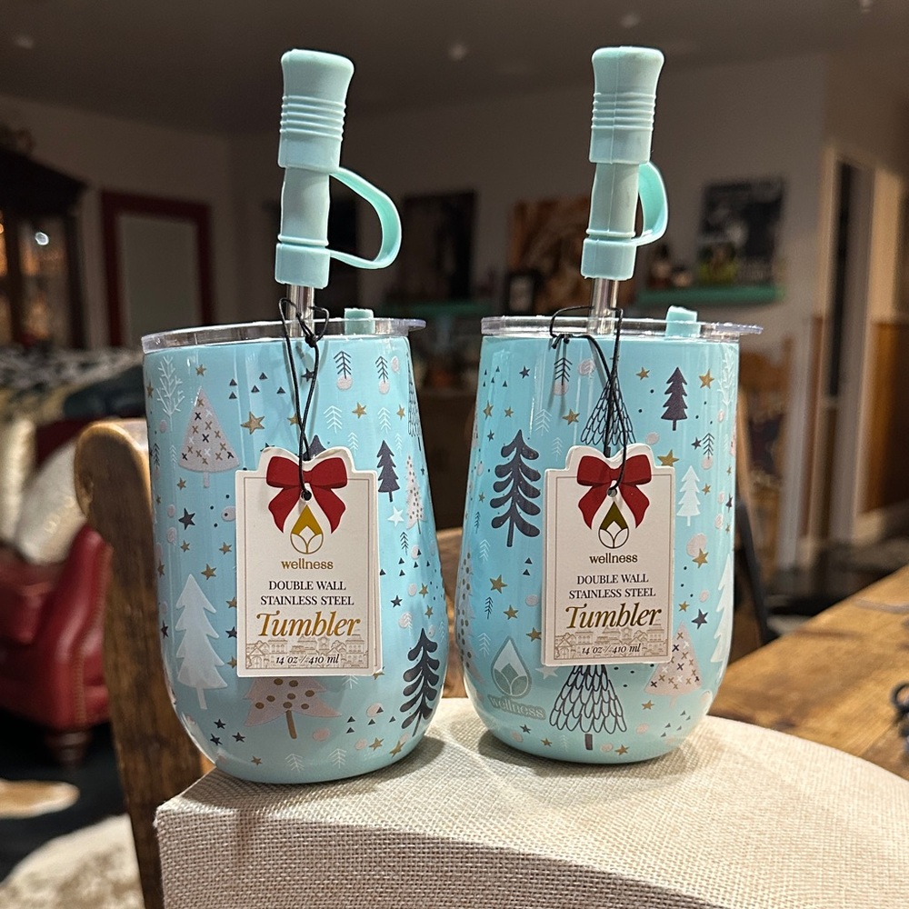 NWT Wellness Aqua Stainless Steel Tumbler Set